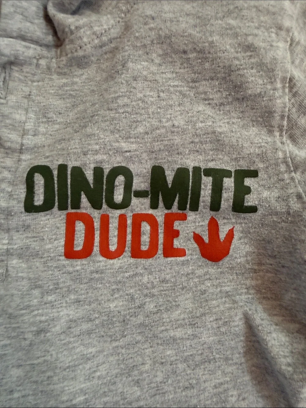 Carter's Gray Hooded Long-Sleeve Tee with Green and Orange Dino Print